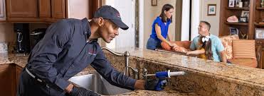 Best Residential Pest Control  in Vevay, IN